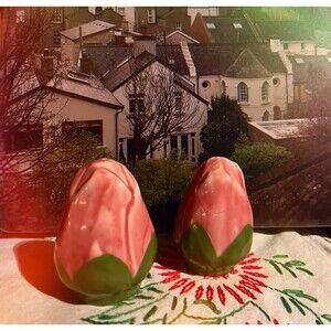 Franciscan Ware Rose Salt and Pepper Shakers without stoppers